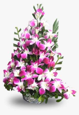 Picture Of Pink Orchid Arrangements