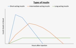 People With Type 1 Diabetes Require Low Levels Of Long-acting