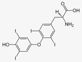 -thyroxine Structural Formulae
