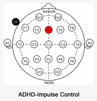 Adhd Small