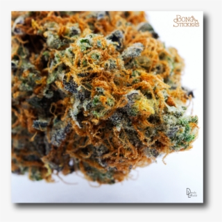 Dank Bud Weed Sticker