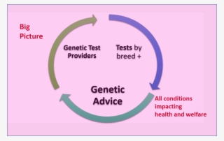Genetic Testing Graphic3