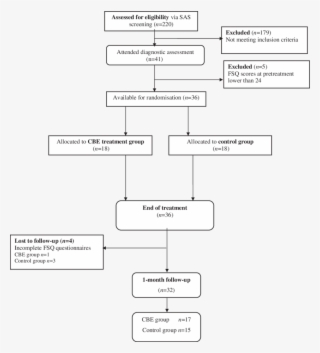 Flow Chart Of Participants