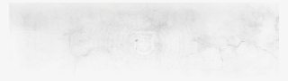 Spider Net Png