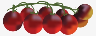 Indigocherry