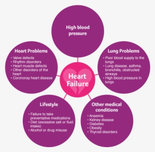 Hf Basics Circles