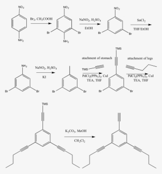 Nanoputian's Lower Body-1