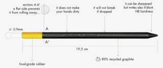 Perpetua Graphite Pencils