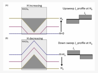 Schematic Of Magnetic Flux Density In Type Ii Superconductors