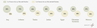 Pew Research, The World's Muslims