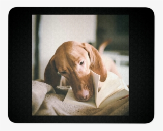 Dashound Mouse Pad