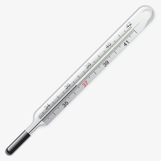 Thermometer Selskabets Formål Er At Fremme Praktiske