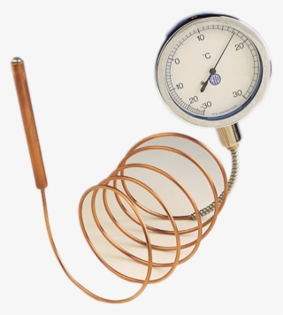 Blondelle Remote Thermometer