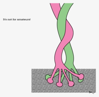 Tie The Knot