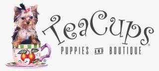 Chihuahua Clipart Teacup