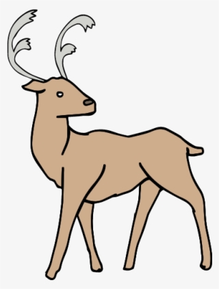 Smilodon