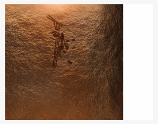 The First Wound Healing Agent In Human History