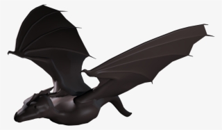 Could Be Anything So I Thought A Sea Dragon Would Be