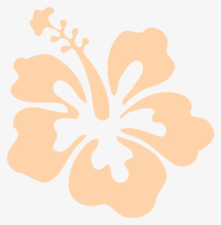Hibiscus Vector Png