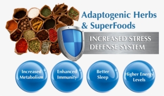 Adaptogenic Herbs And Superfooddefense