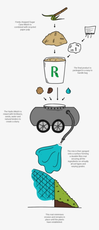 Here Is An Example Of Vegetation Growth In Just A 7-week