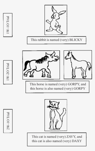 The Word ' Named' Was Used In The Proper Name Condition,