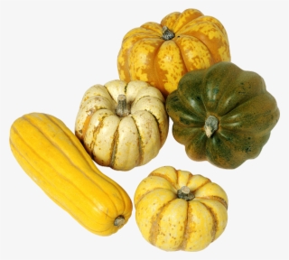 Squash Png