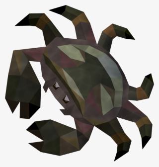 Raw Heim Crab Detail