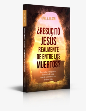 Did Jesus Really Rise From The Dead - Did Jesus Really Rise From The Dead? Questions And