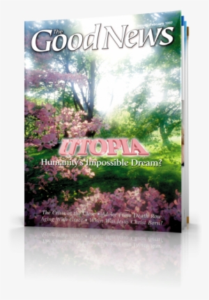 Floral Funeral Church Poster - Mini Laminated Christian