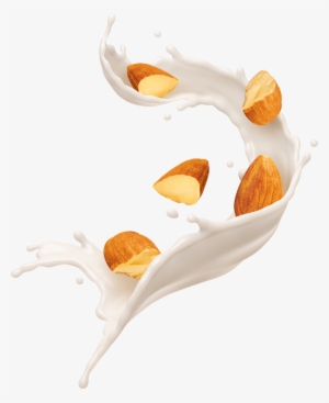 Selected For Quality - Almond Milk Splash Png