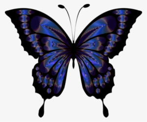 Butterfly Blue Insect Drawing Purple - Beautiful Butterfly Images Clip Art