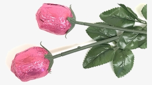 Hot Pink Foiled Belgian Chocolate Color Splash Roses - Garden Roses