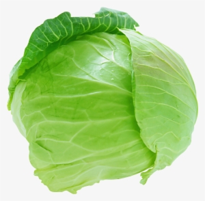 Carrot Png Image - Cabbage Png