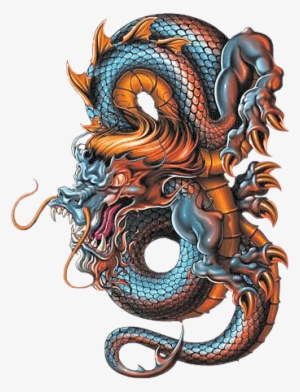 Dragon Sketchbook - Google Search - Dragon Tattoo Design Color