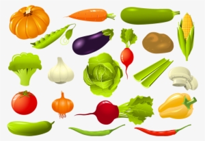 Vector Vegetables Png
