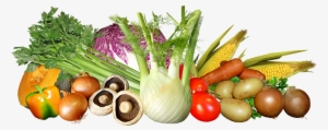 Vegetables, Mixed, Food, Cooking, Healthy, Harvest - Vegetable