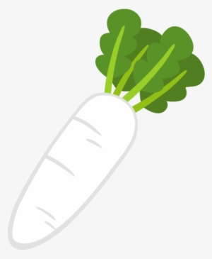 Radish