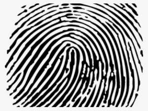 Vector Of A Fingerprint