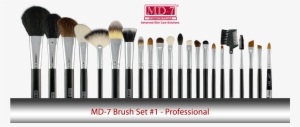 Professional Makeup Brush Set - Professional Makeup Brush