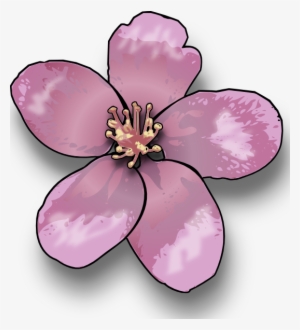 Sakura Clipart Apple Blossom - Blossoms Clipart