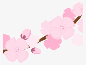 Cherry Blossom Clipart Hanami - Cherry - Naboru Hitehawa/deep Solid Groove/the Squier