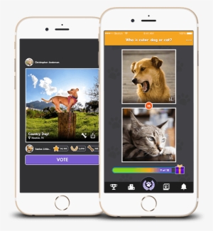 Share & Decorate Cute Pics Of Your Pet - Animal Jokes, Riddles, And One-liners