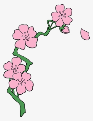 How To Draw Cherry Blossoms - Drawing