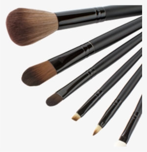 Which To Choose - Pinceaux Maquillage Png