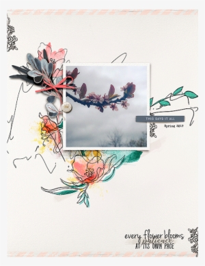 Cold Day On The Bay By Jk703 Is Another Precious Jewel - Japanese Camellia