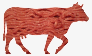 Minced Beef Meat Cow Cattle - Red Meat