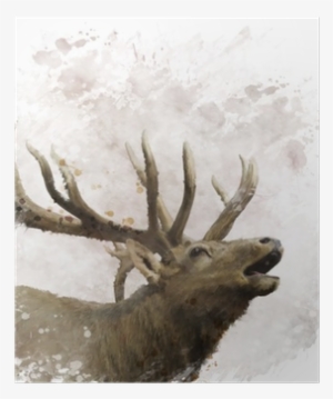 Relationships: Ricocheting Toward Infinity