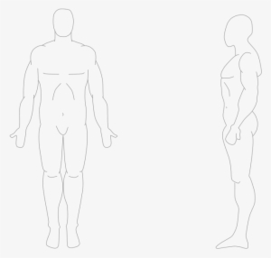 Human Body Front And Side - Human From Front And Side