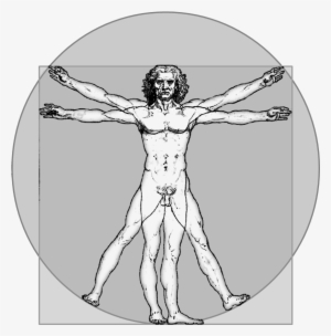 Vitruvian Icon Gray - Introduction To 12-lead Ecg: The Art